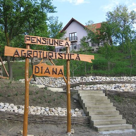 Pensiunea Agroturistica Diana 머구라 외부 사진