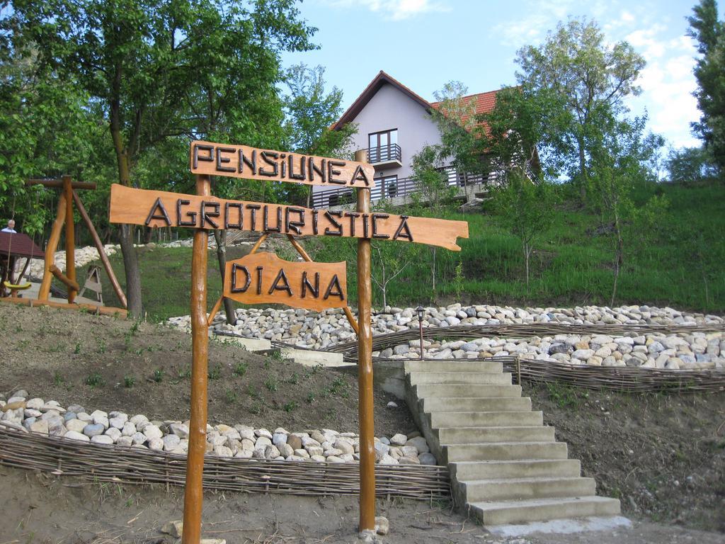 Pensiunea Agroturistica Diana 머구라 외부 사진