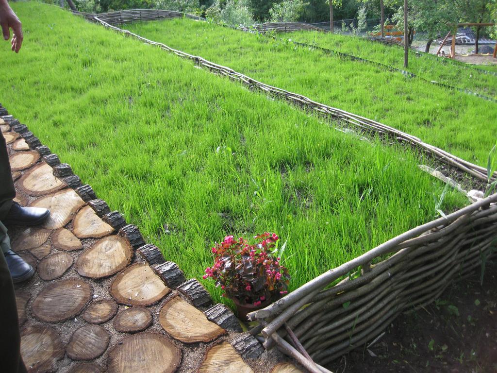 Pensiunea Agroturistica Diana 머구라 외부 사진