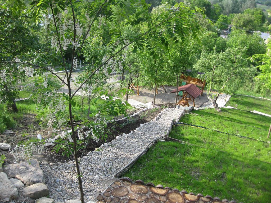 Pensiunea Agroturistica Diana 머구라 외부 사진