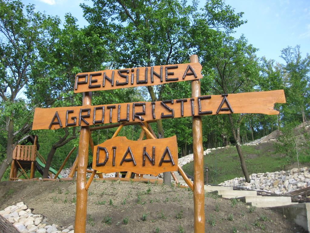 Pensiunea Agroturistica Diana 머구라 외부 사진